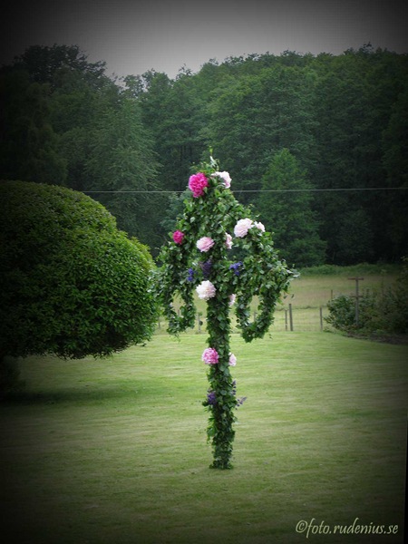 midsommarstang2