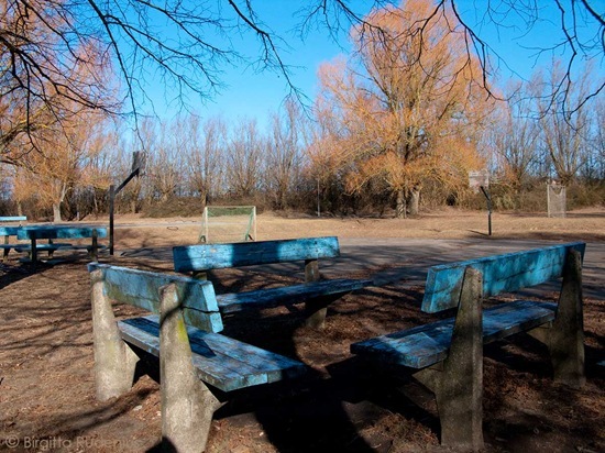 barn_20110305_skolgard