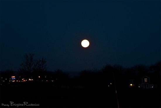 sky_20110319_moon
