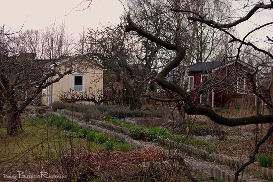 lund_20110413_kolonistugor