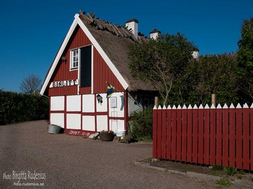 skane_20110508_bialitt