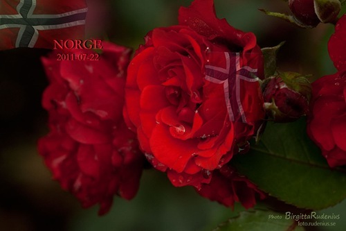 card_20110722_norge