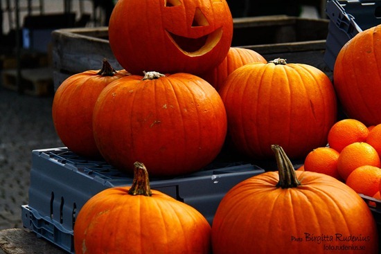 diverse_20111024_pumpor