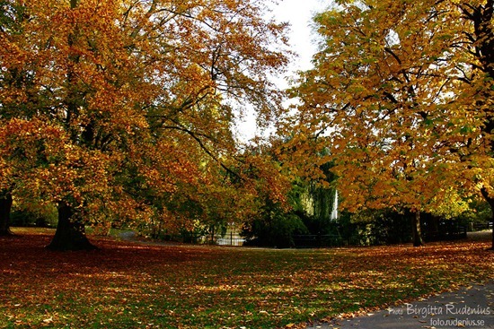 lund_20111024_parken