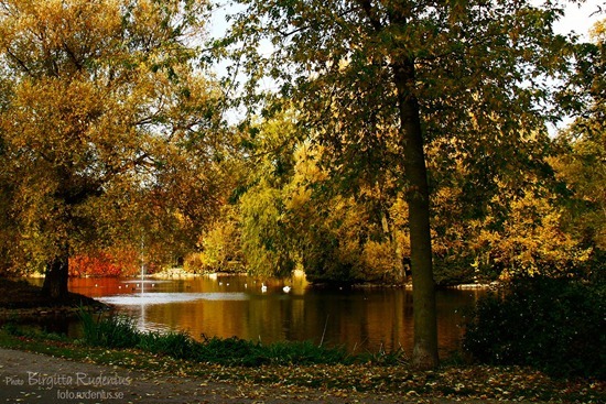 lund_20111024_parken2