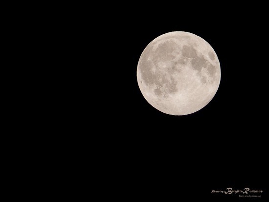 sky_20111110_fullmoon1