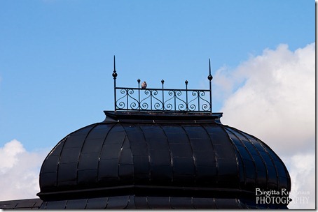 lund_20120730_skywatch