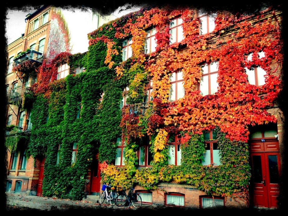 20121010-135107.jpg