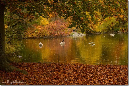 lund_20121024_citypark