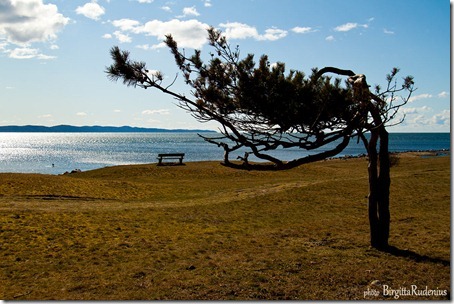 Skalderviken Sweden sw coastline