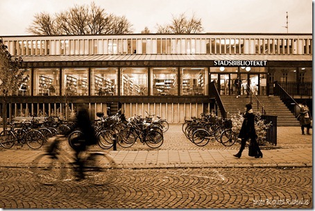 lund_20121107_library