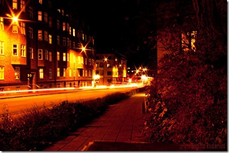 lund_20121112_KingOscarsBro