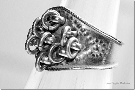 silverring_20121105_4