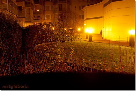 2012_325_1120_innergarden