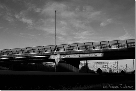 bw_20121212_kingOscar