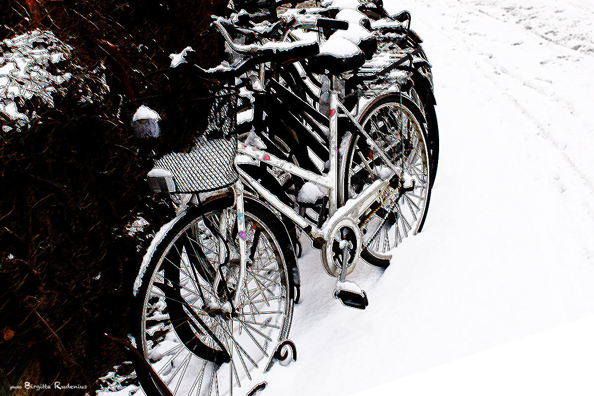 Winter bikes