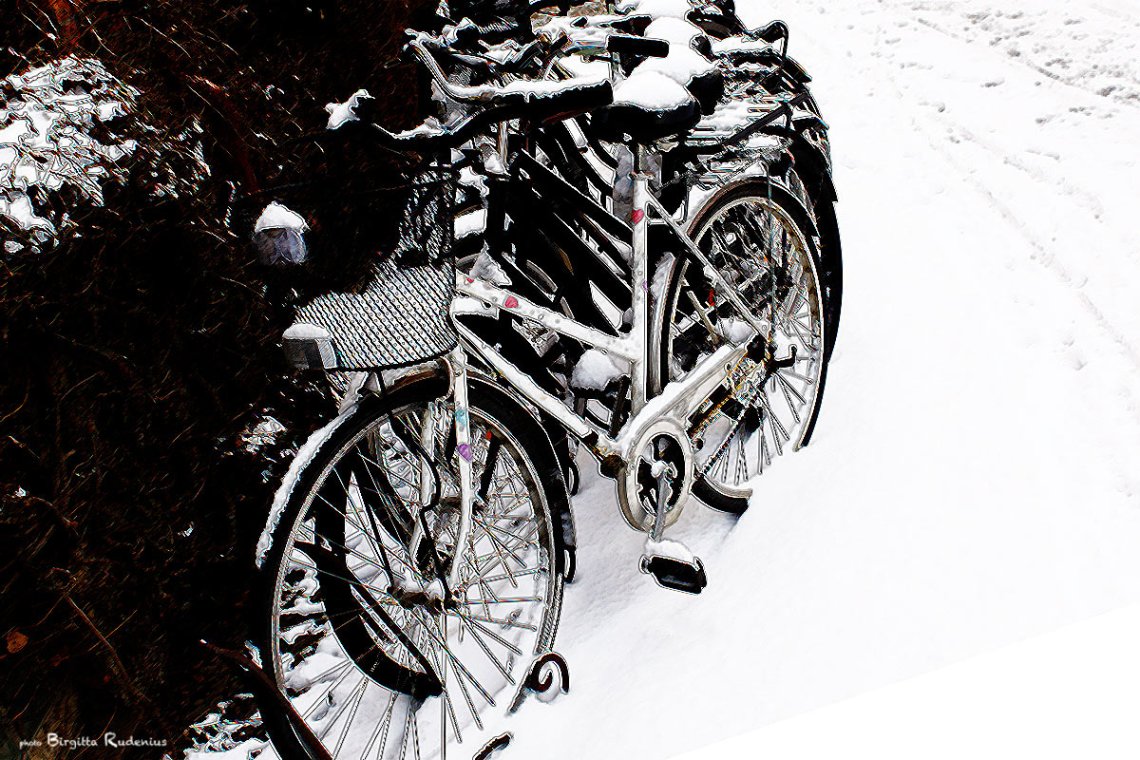 Winter bikes