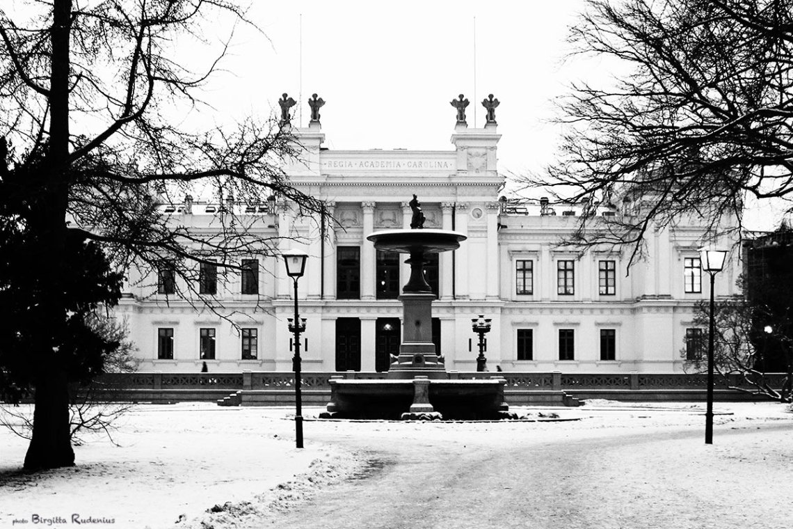 Lund's University