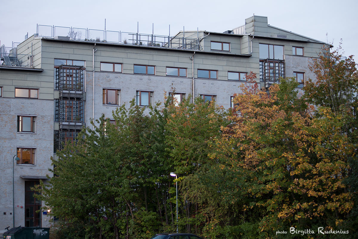 International student's house