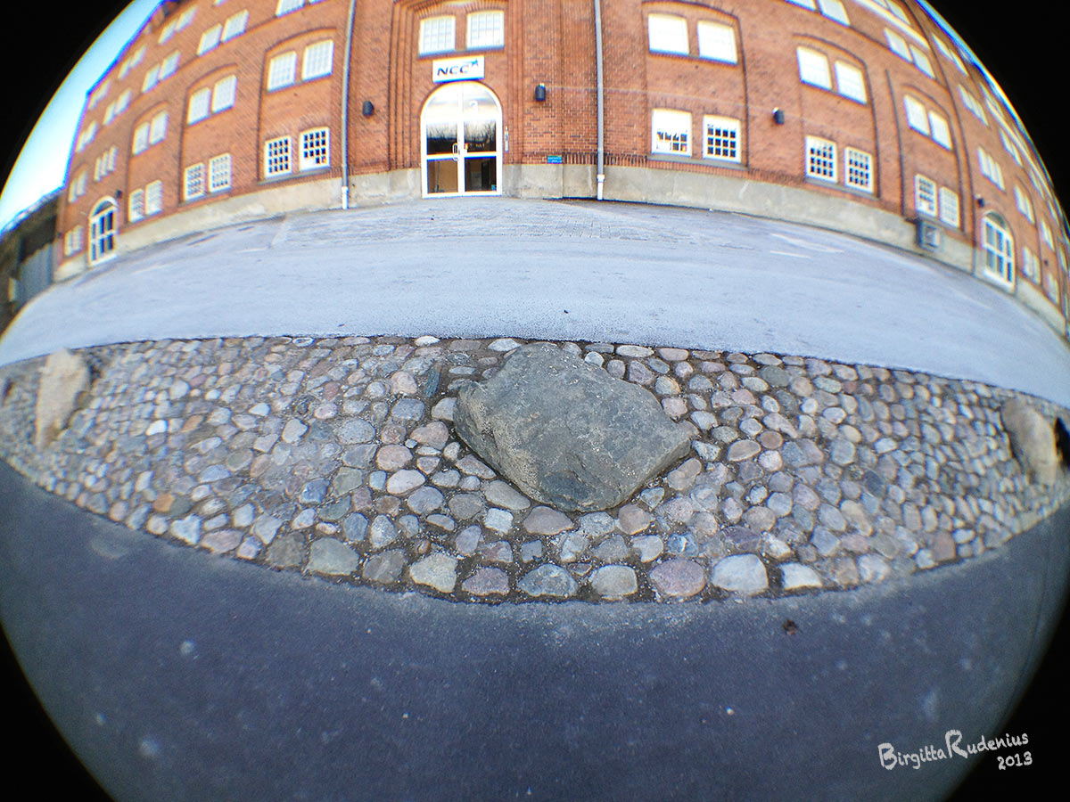 Fisheye House