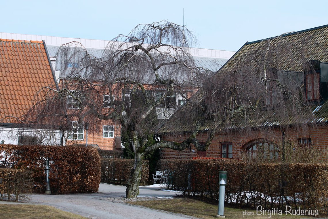 house_20130328_villas