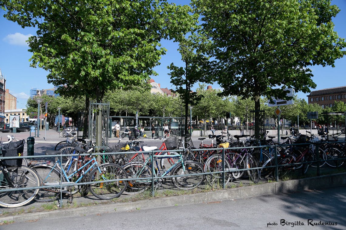 bikes_20130608