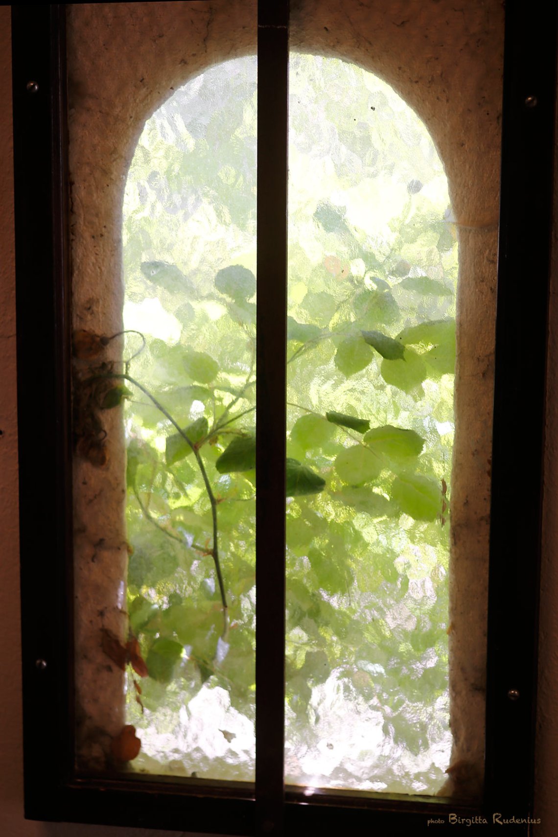 window_20130606_botaniska