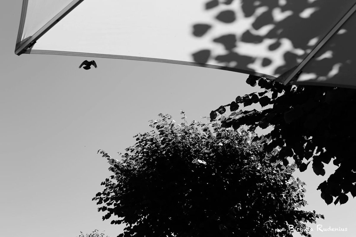 bw_20130724_lunchtime