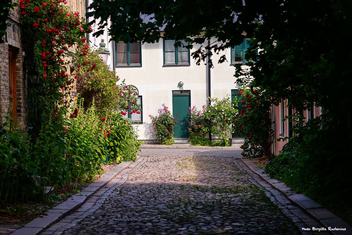 street_20140623_view1