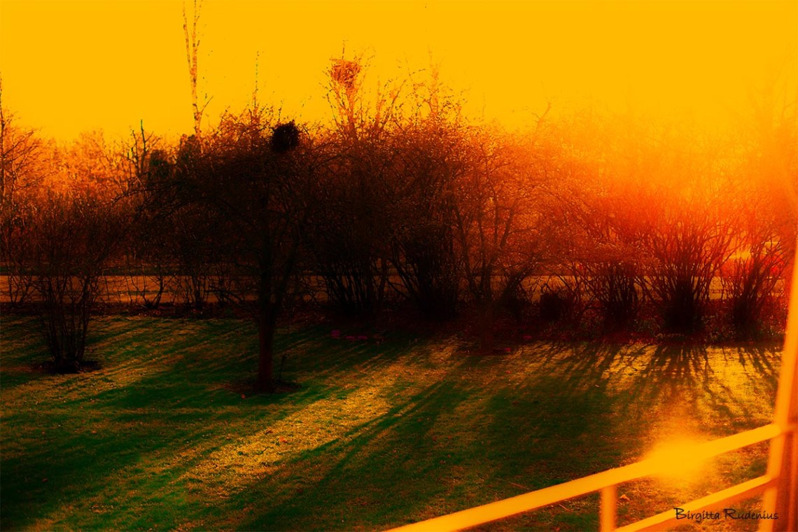 filippa_20150312_garden