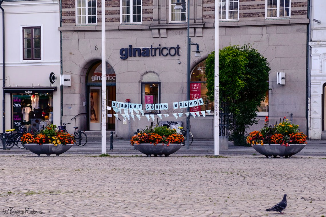 square_20150729_studentroom