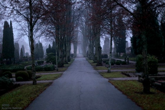 Misty Alle in Graveyard