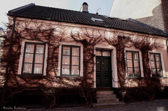 Street House in the City Center of Lund