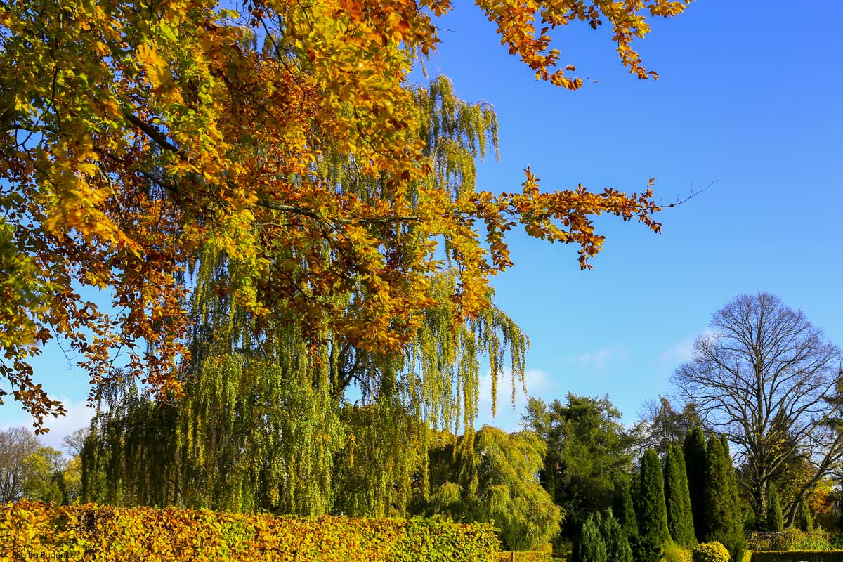 North Cemetery in Lund, Sweden
