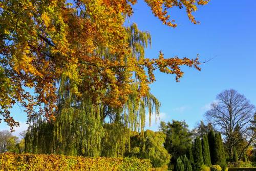 North Cemetery in Lund, Sweden
