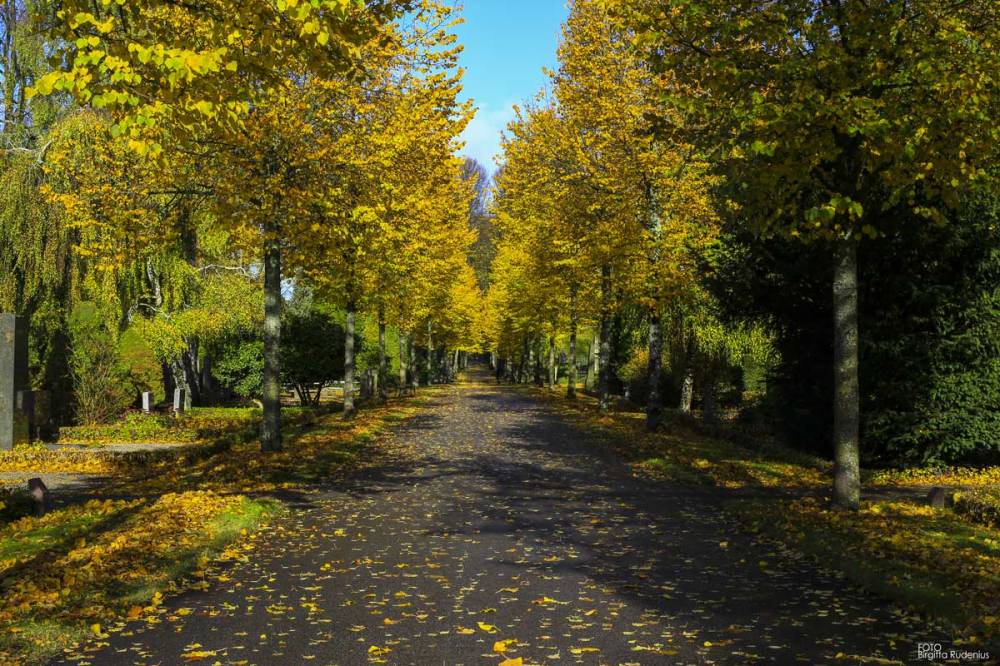 North Cemetery in Lund, Sweden