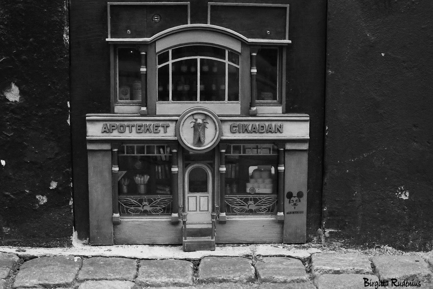 Street Photo, Street Art, Mouse House © Birgitta Rudenius