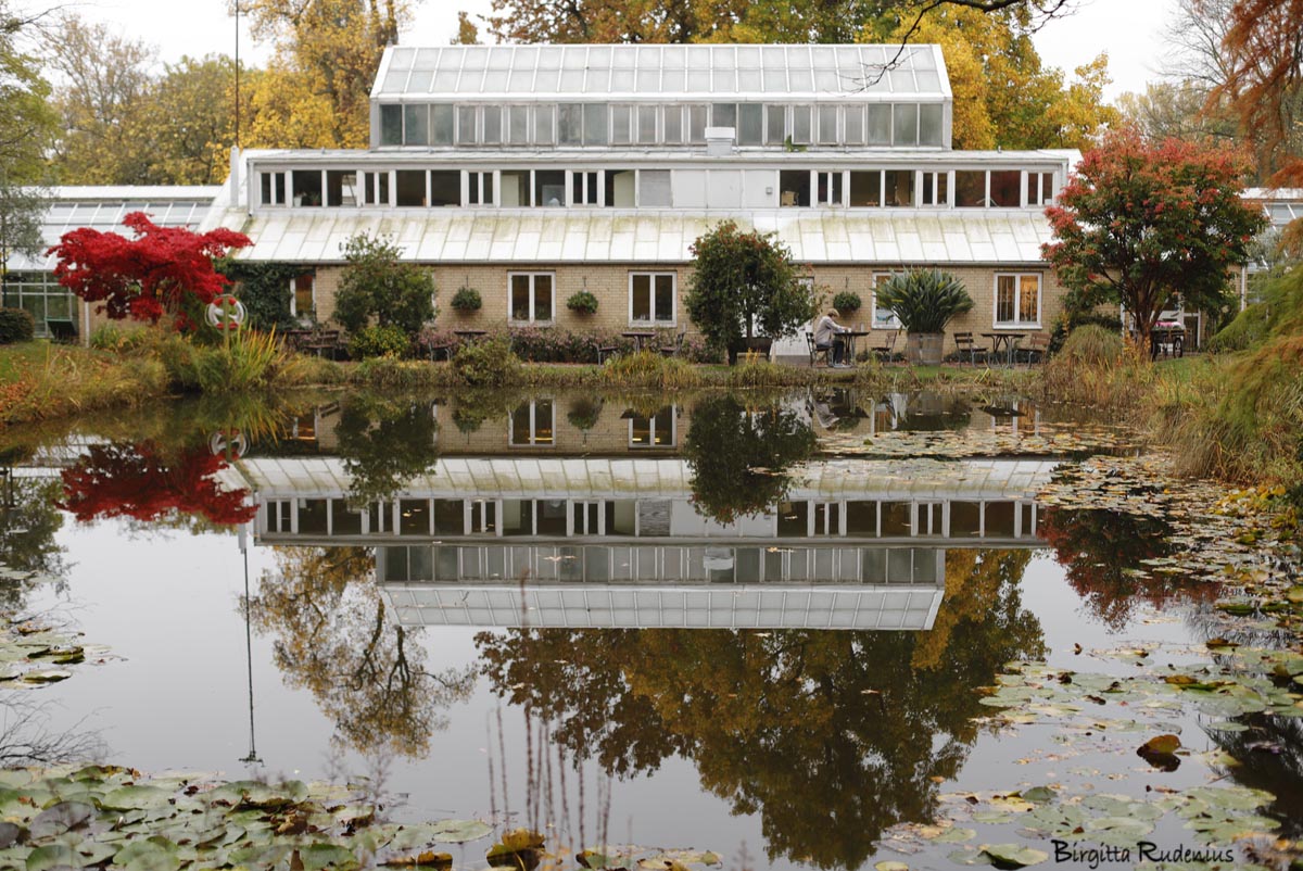 Botaniska trädgården i Lund, foto Birgitta Rudenius
