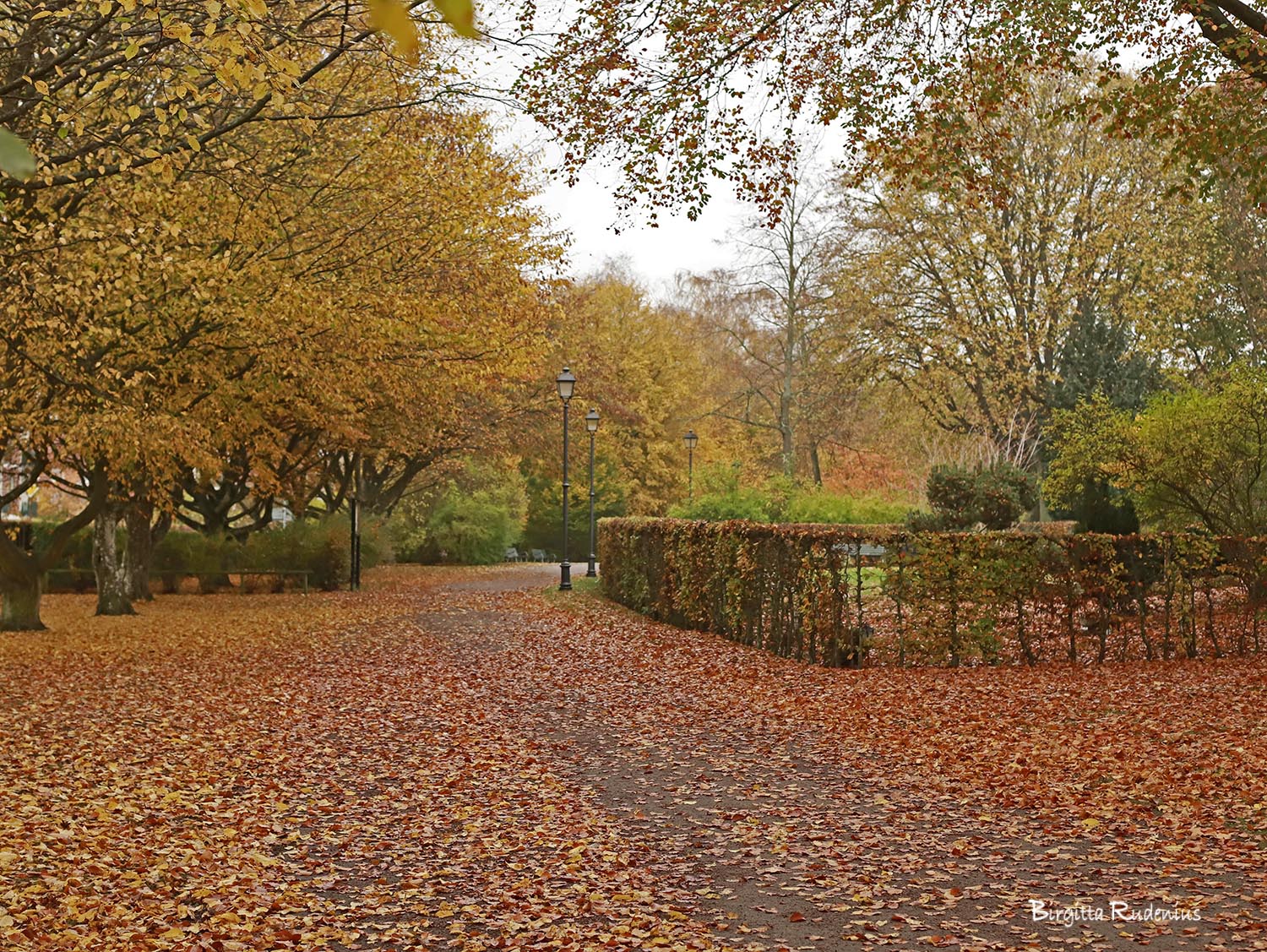 foto Birgitta Rudenius