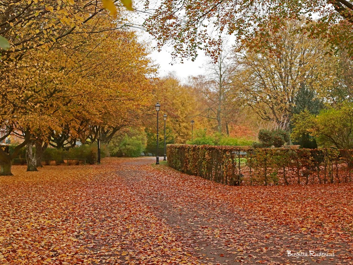 foto Birgitta Rudenius