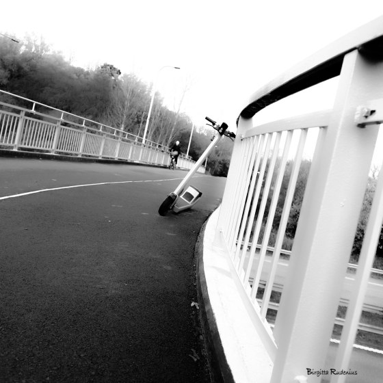 foto Birgitta Rudenius