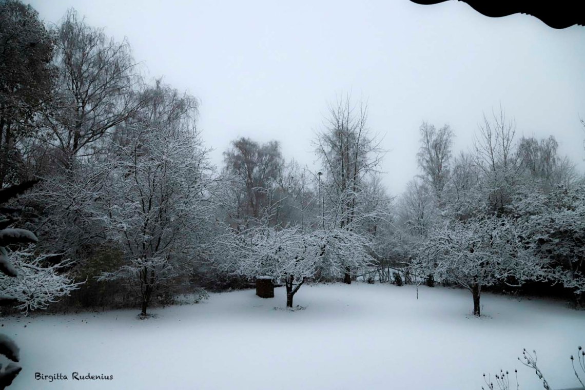 © Birgitta Rudenius