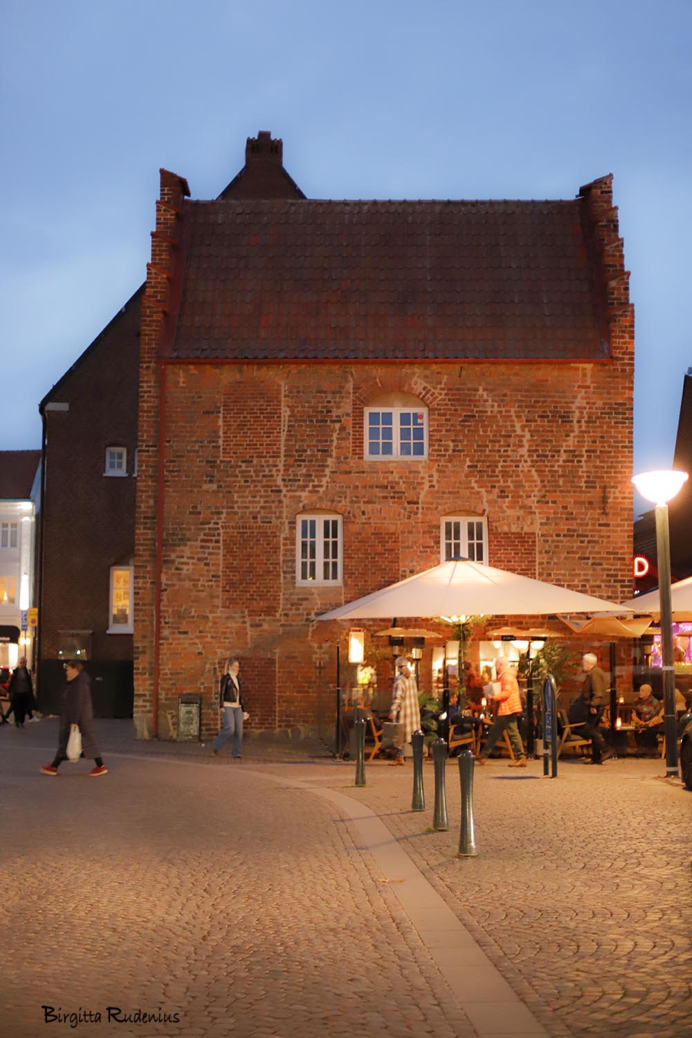 foto Birgitta Rudenius