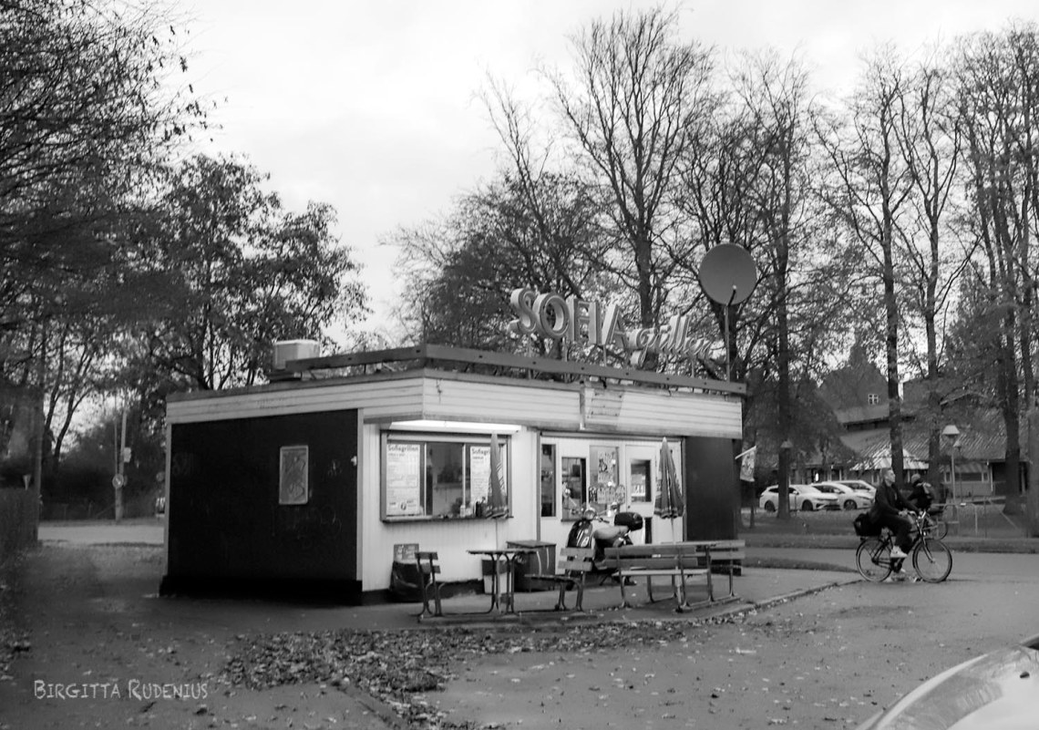 © Birgitta Rudenius