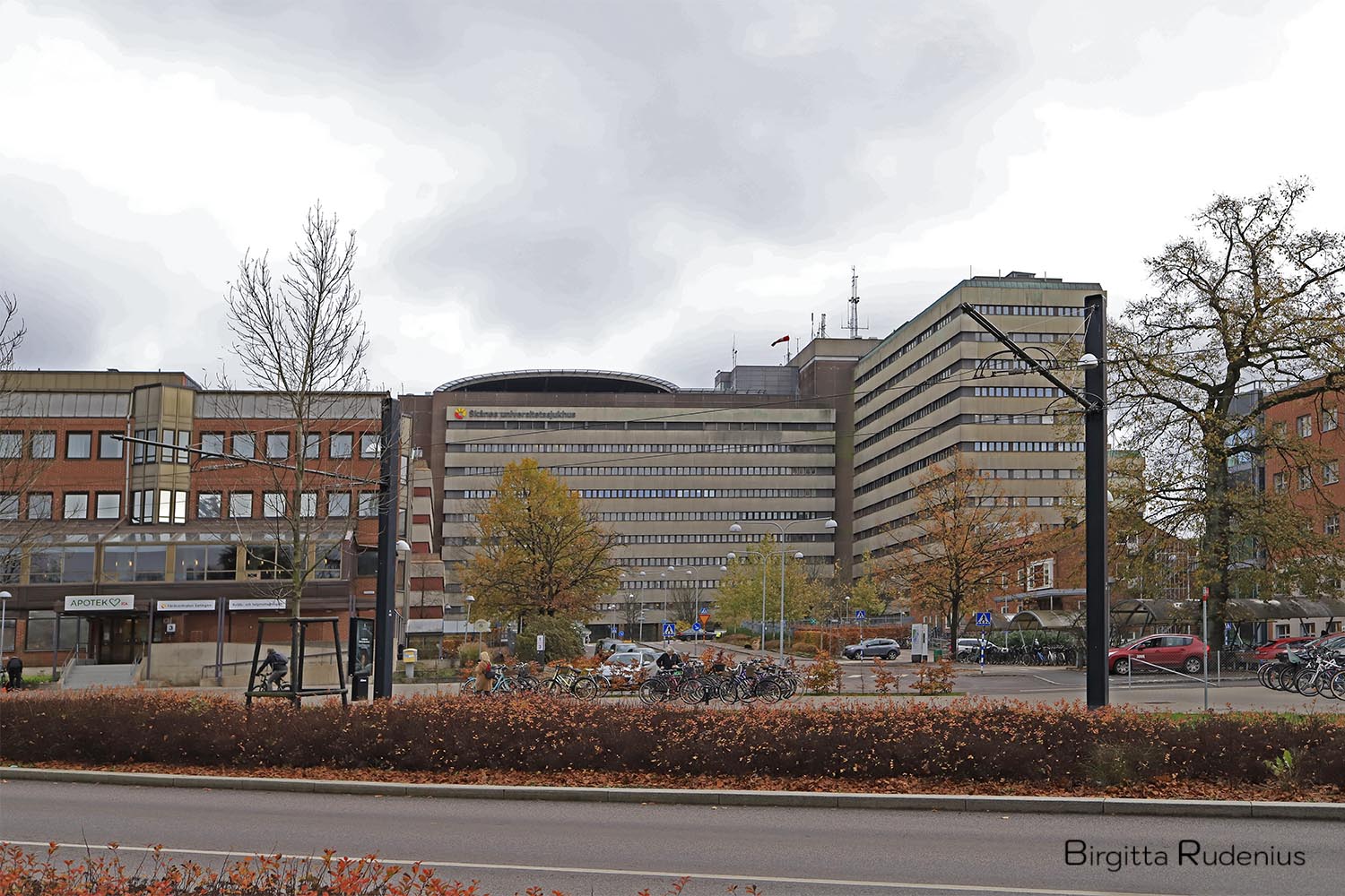 © Birgitta Rudenius