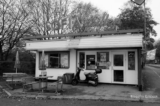 © Birgitta Rudenius