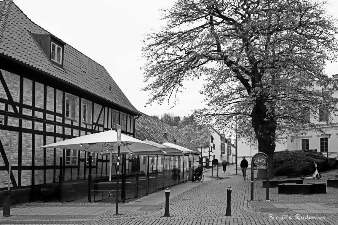 © Birgitta Rudenius