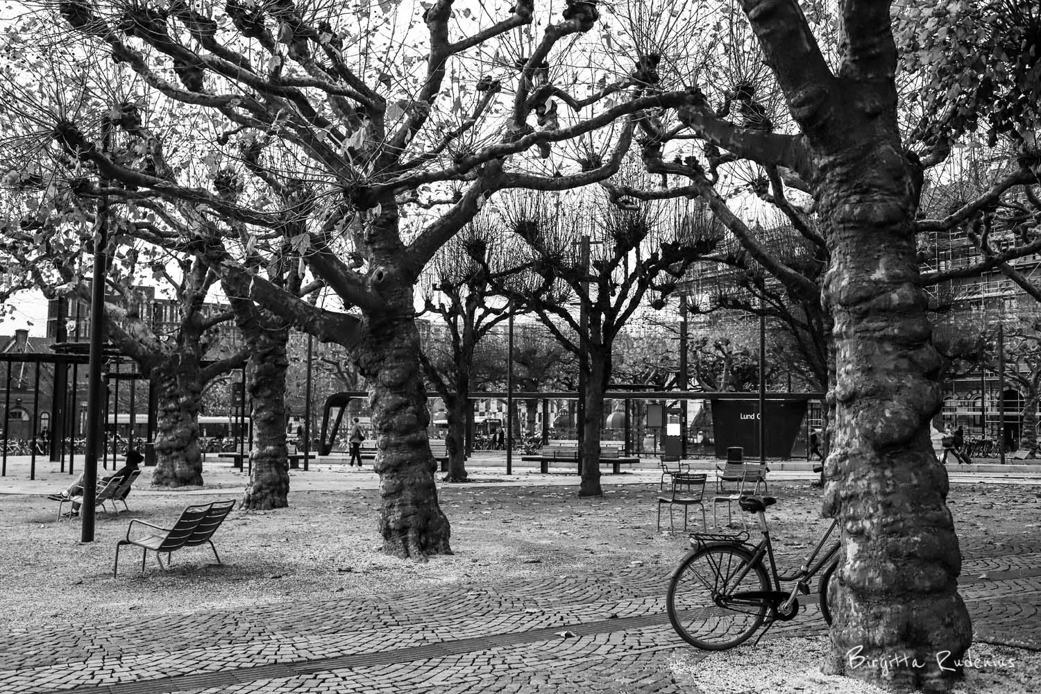 © Birgitta Rudenius