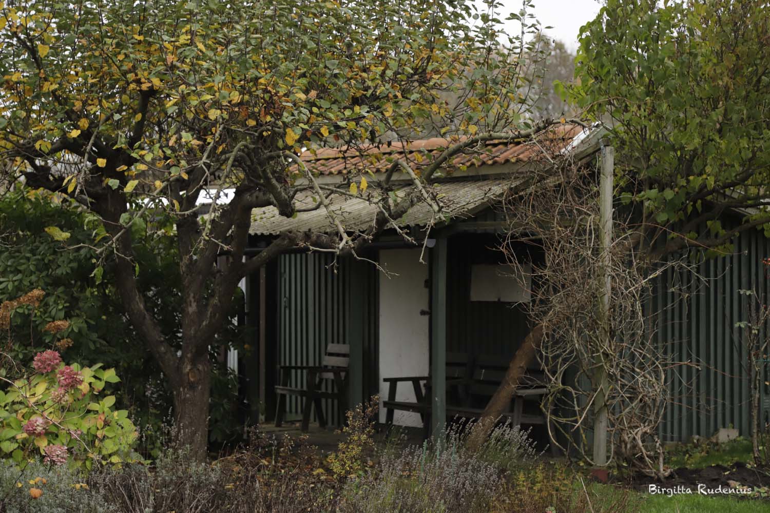 © Birgitta Rudenius