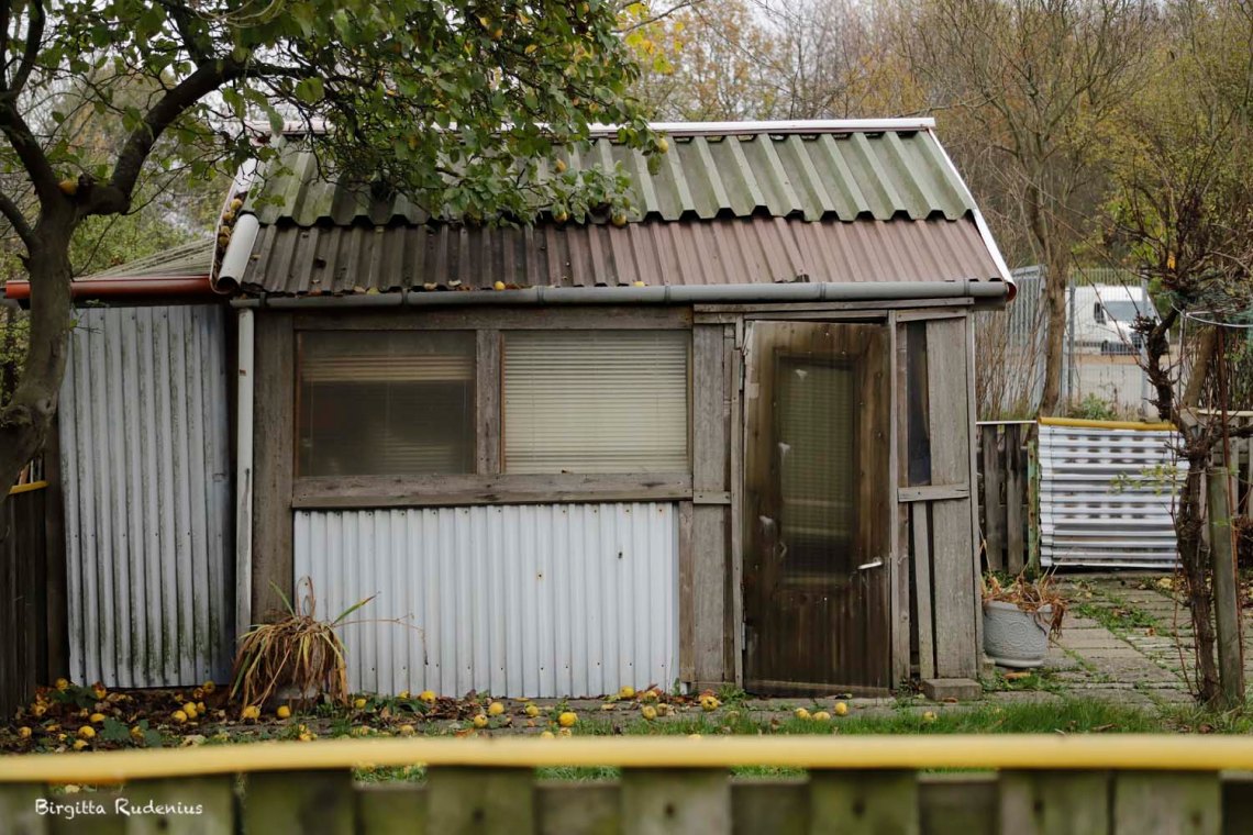 © Birgitta Rudenius